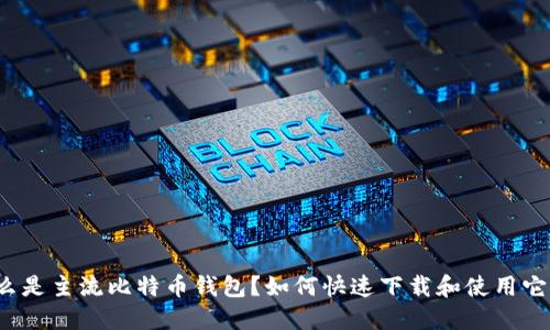 什么是主流比特币钱包？如何快速下载和使用它们？
